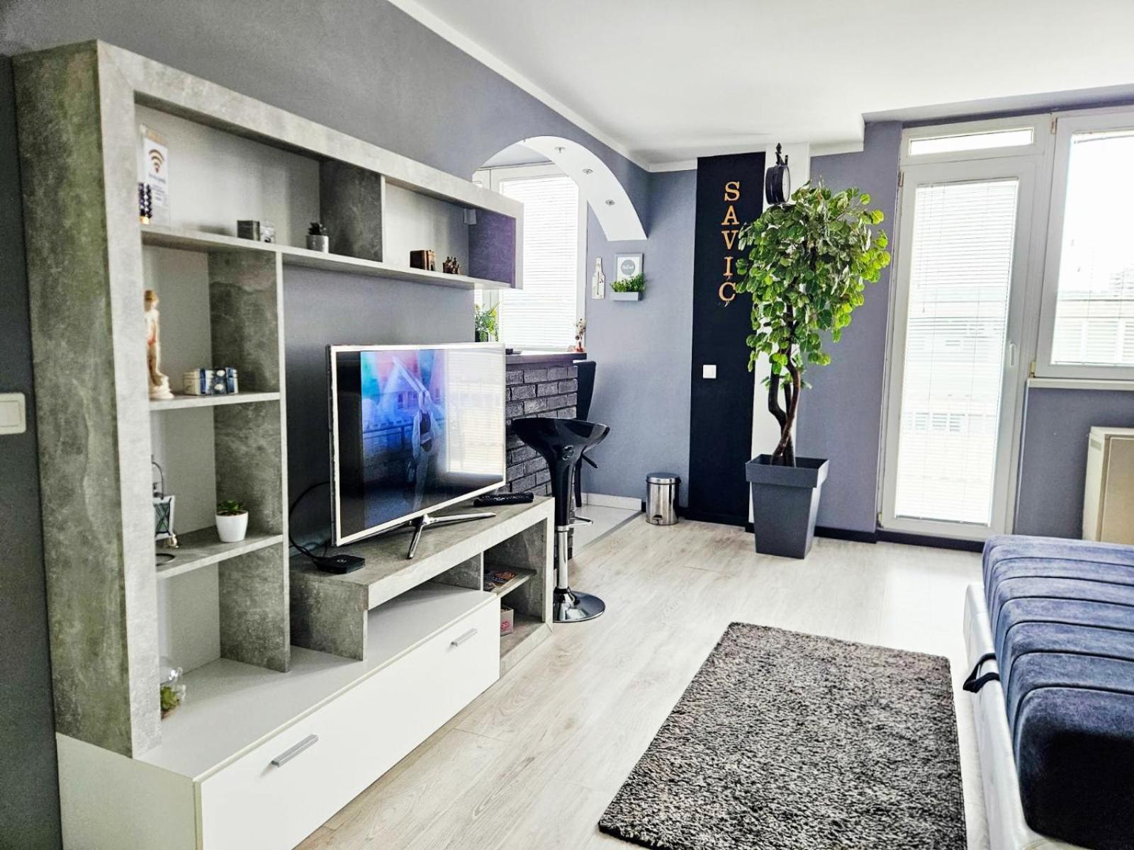 Savic Apartment Center - Parking Free Ni エクステリア 写真
